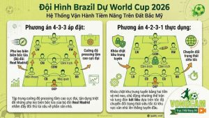 Mô hình biến thể sơ đồ chiến thuật 4-3-3 và 4-2-3-1 của đội hình tuyển Brazil dự kiến áp dụng tại giải đấu